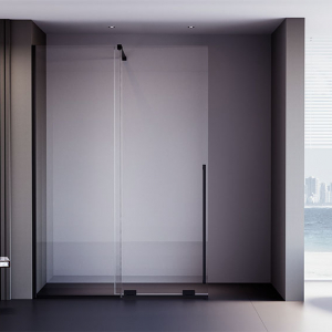 Душевая дверь Veconi Premium Trento PTDW-50B, 1100x2000, черный матовый, стекло прозрачное Ника